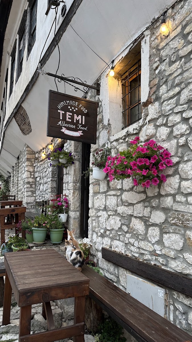 Temi Albanian Food