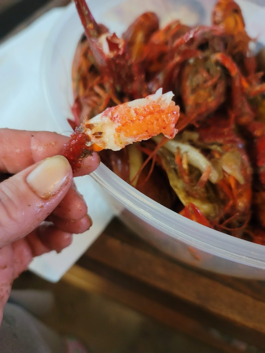 Crawfish Shack - 211 E End Blvd S - Photo 5