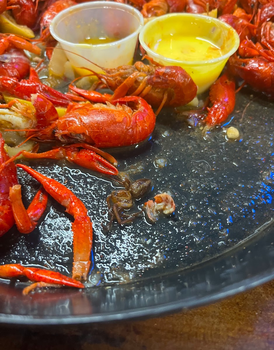 Crawfish Shack - 211 E End Blvd S - Photo 8