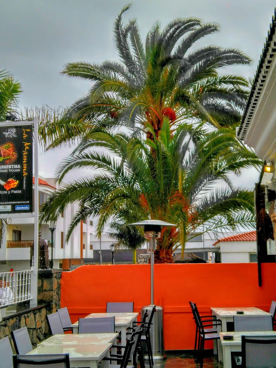Bar Santa Ana - Las Palmas