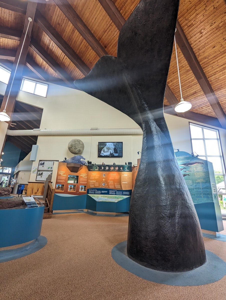 High Tide Café - Photo 8