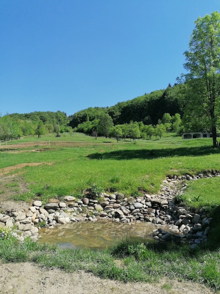 Restoran Uskopaljski dvori - Photo 8