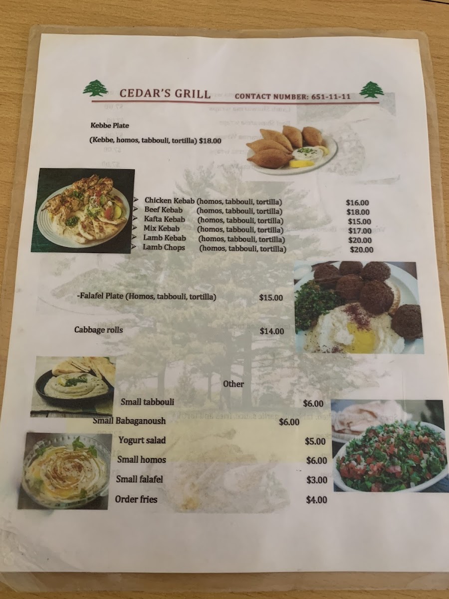 Cedar Grill - Belmopan - Photo 1