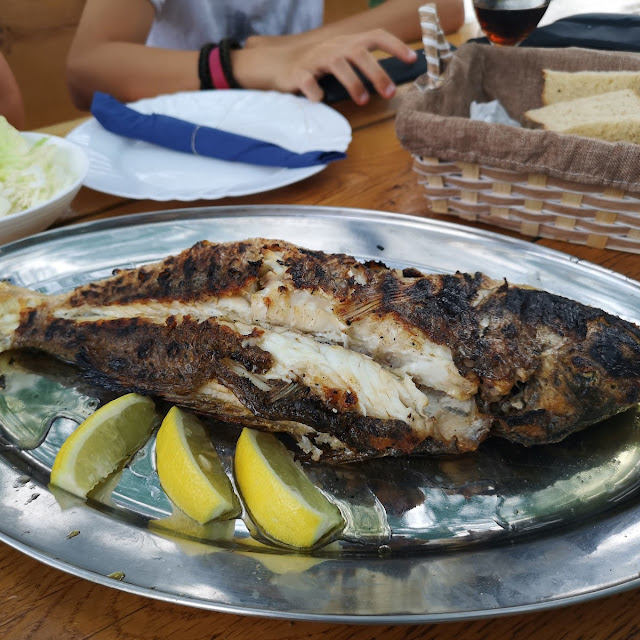 Fishes After