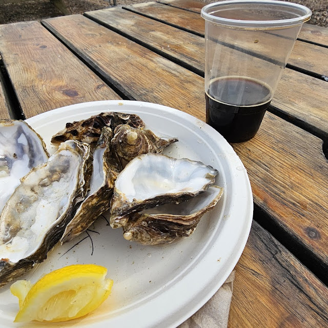 The Big Wild Oyster and Rocks Oysters