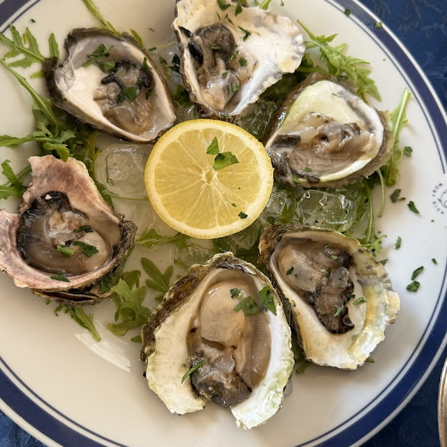 Oysters