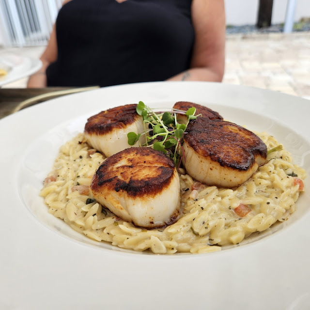 Scallops