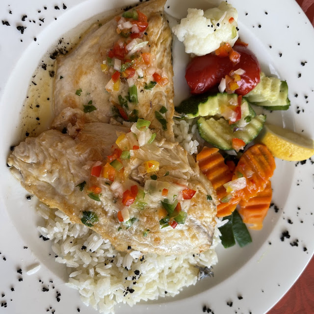 Fish of the Day