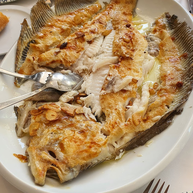 Turbot