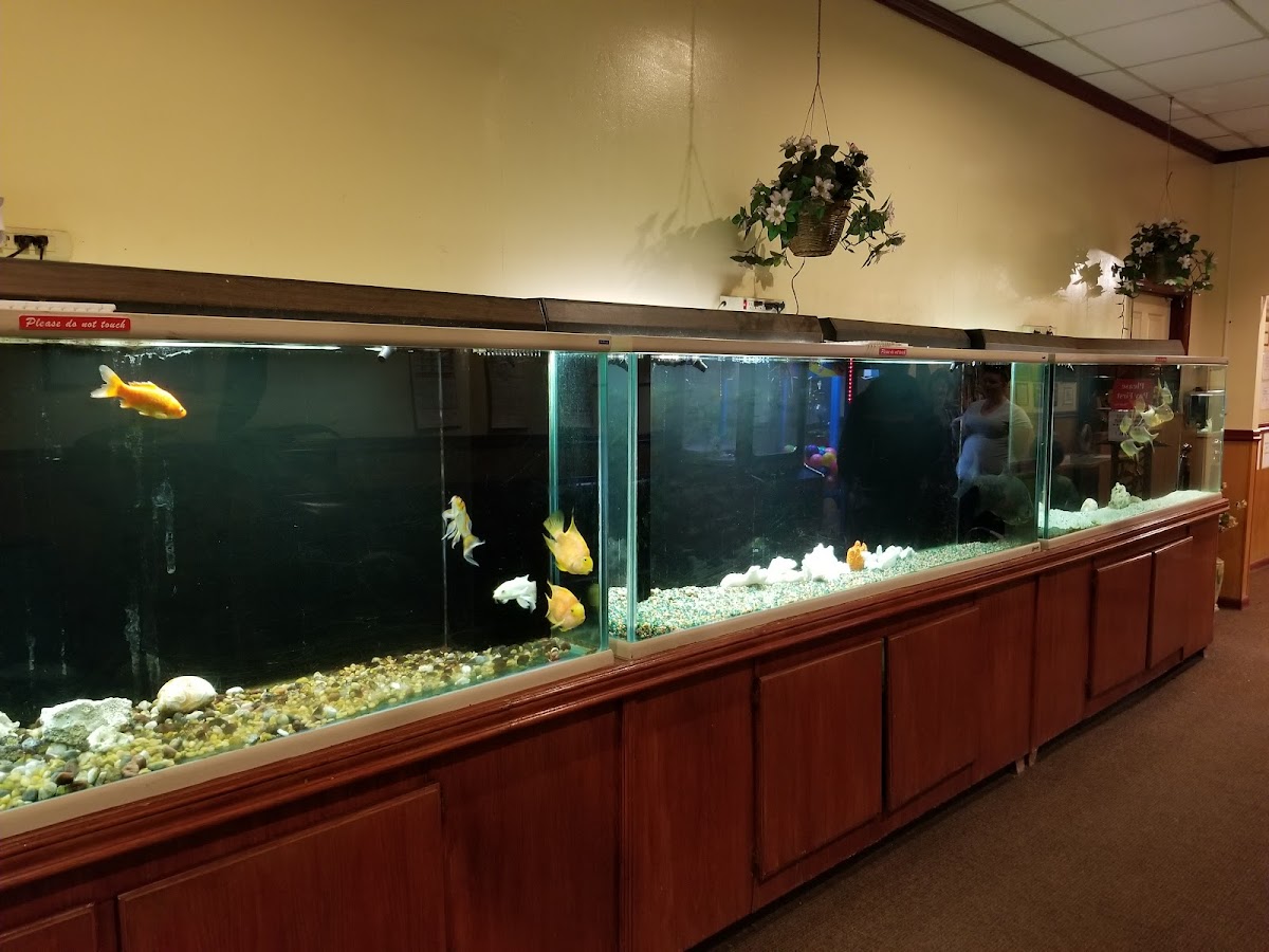 Mandarin House - 314 Merchant Dr - Photo 2