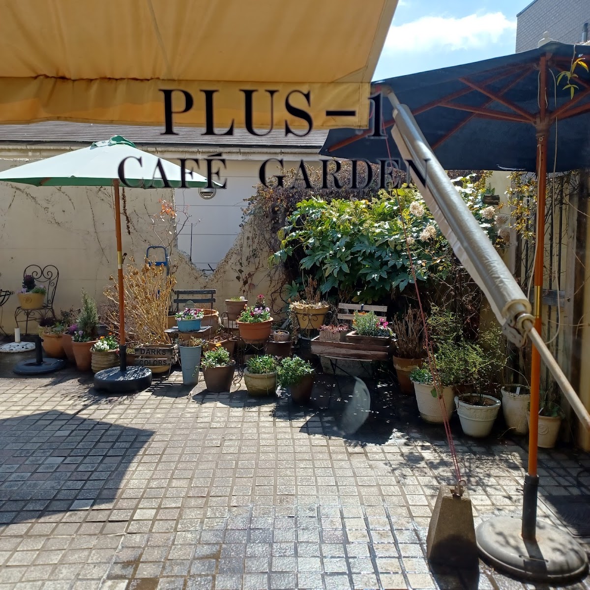 Plus1 Cafe Garden
