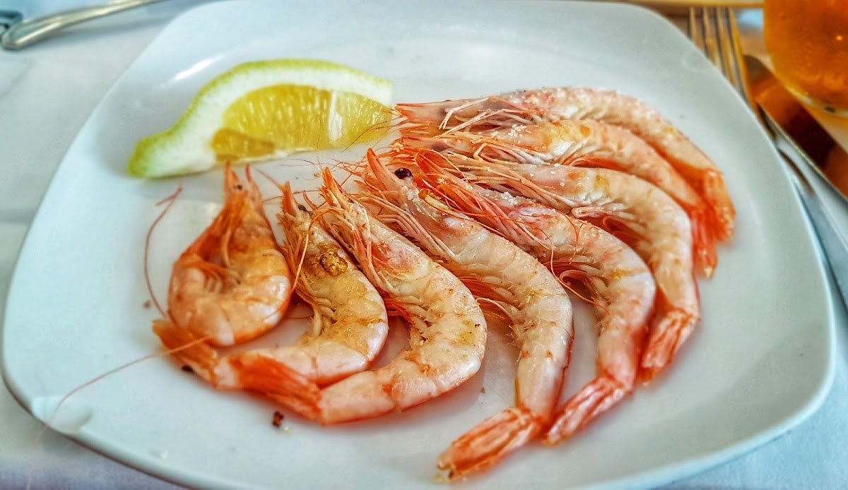 LA BODEGA - Malaga - Photo 9