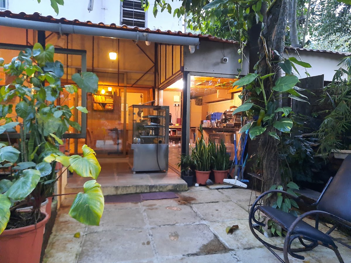 Coffee Tree - Khandala
