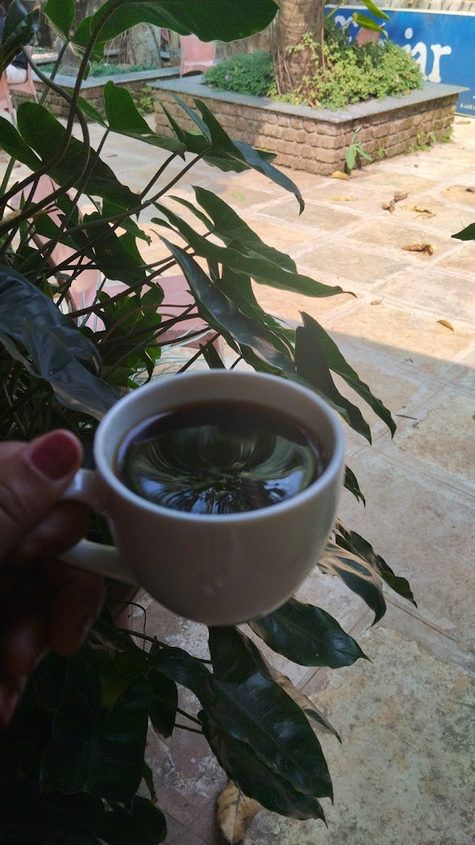 Coffee Tree - Khandala - Photo 9