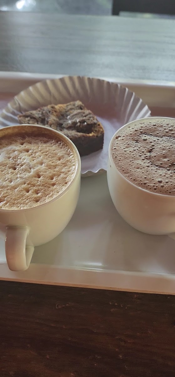 Coffee Tree - Khandala - Photo 1