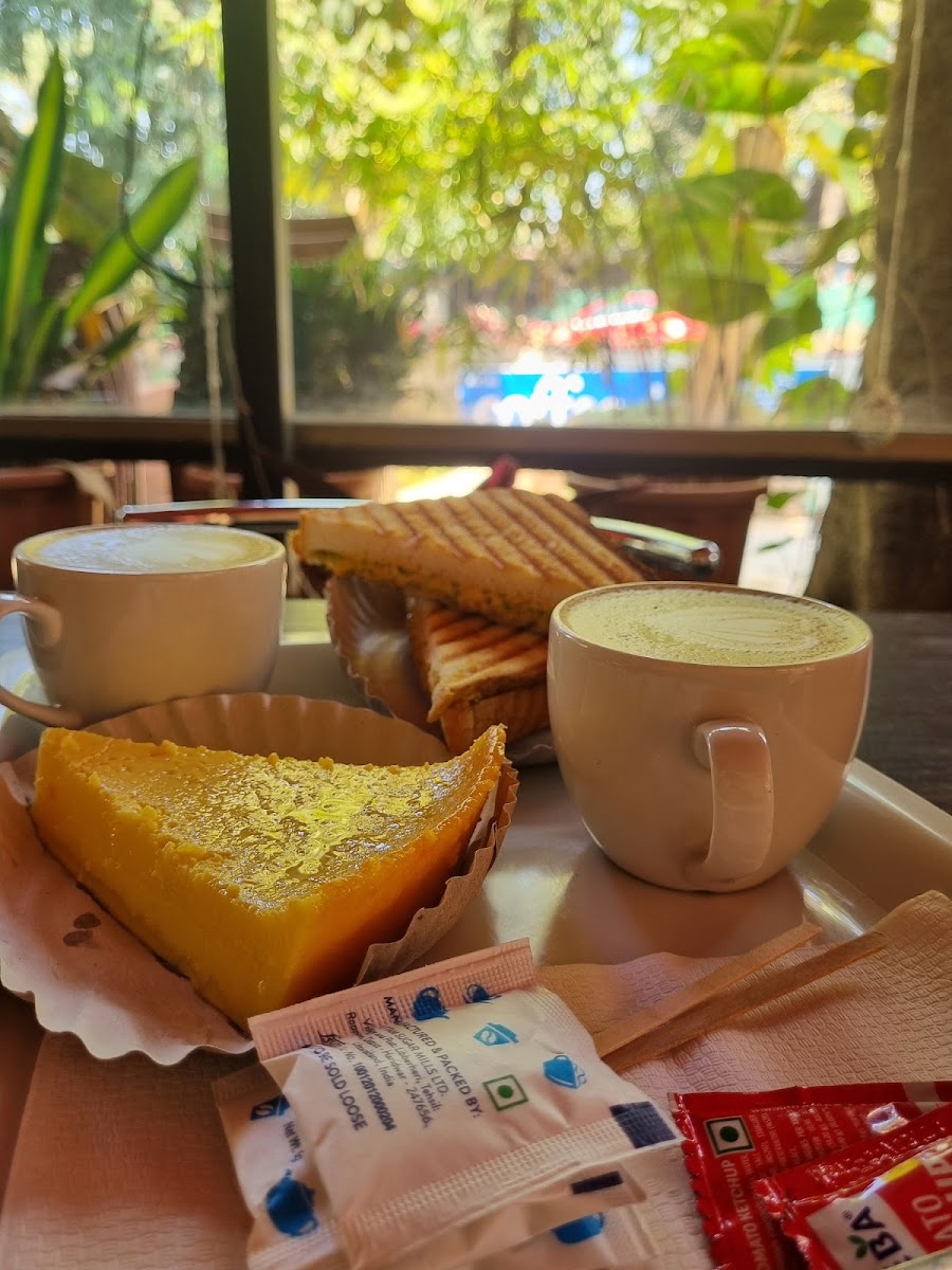 Coffee Tree - Khandala - Photo 5