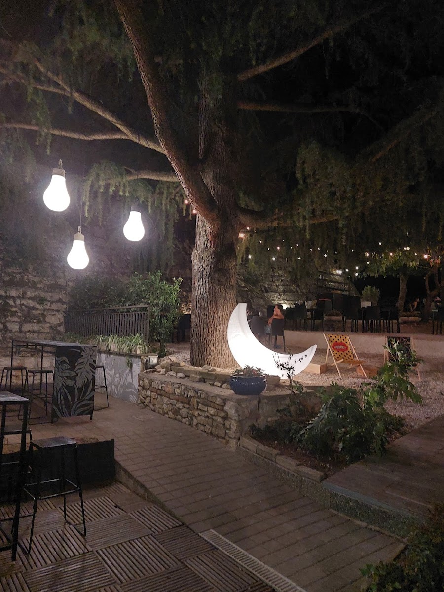 Patio Roof Garden - Photo 6