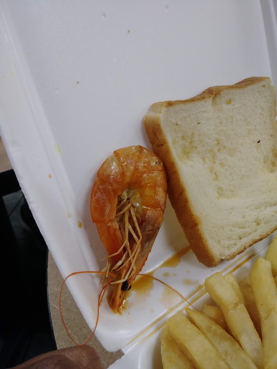 Bellfort Seafood - Photo 7