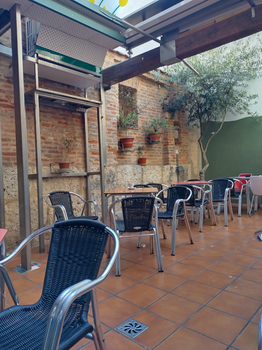 El Patio del Olivo - Photo 2