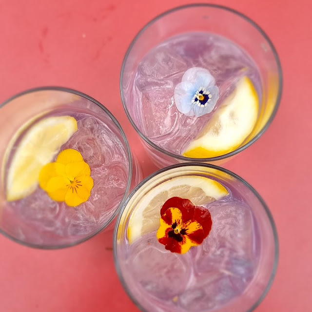 Gin Tonic