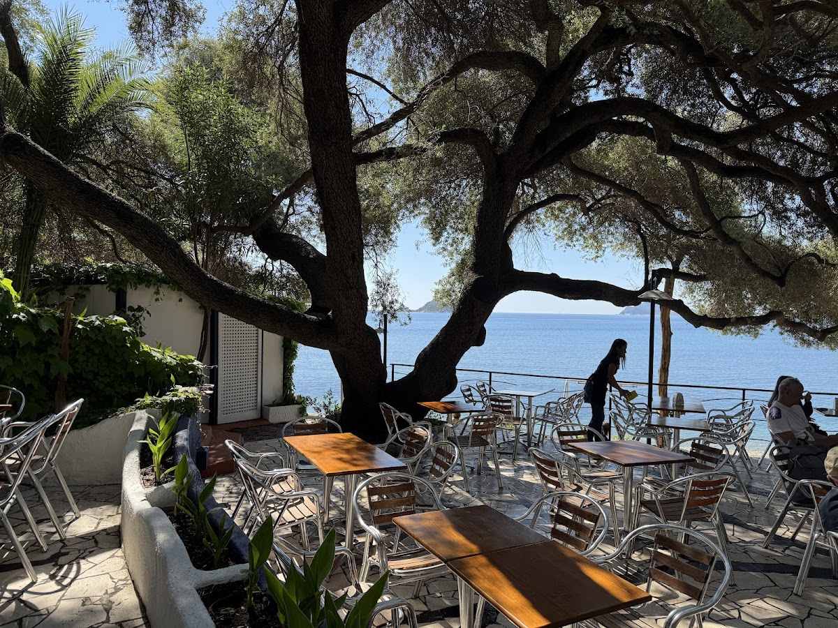 L'Olivastro Bar