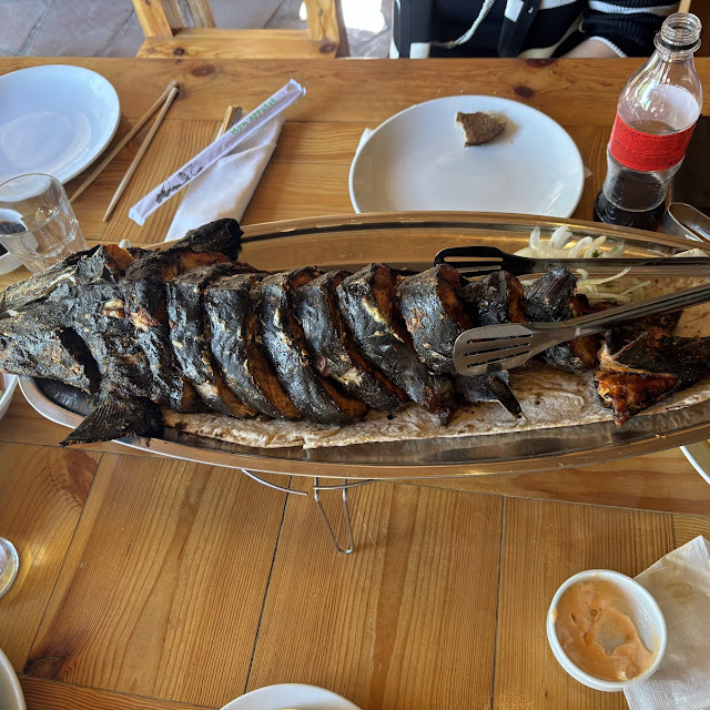 Asetrina Na Grille