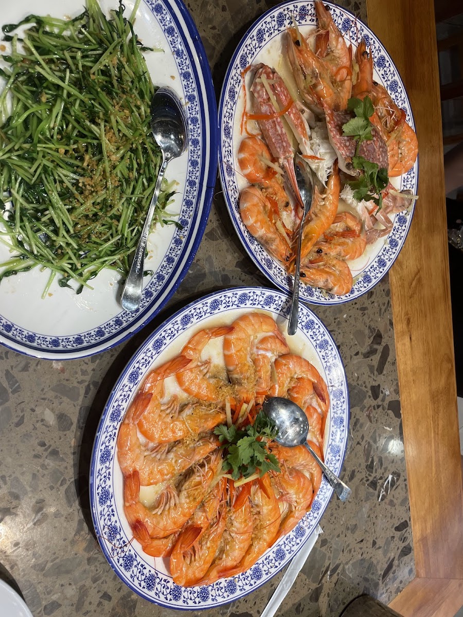 Mamma Restaurant Live Seafood & Steamboat - Photo 9