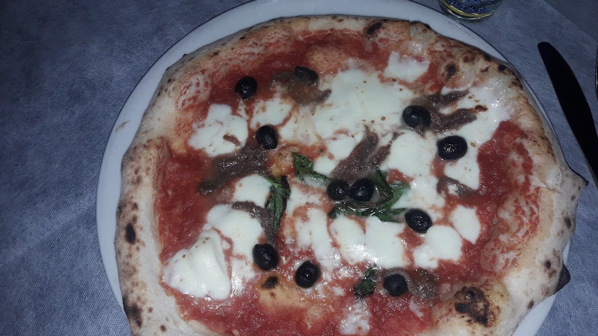 Trotta - Photo 5