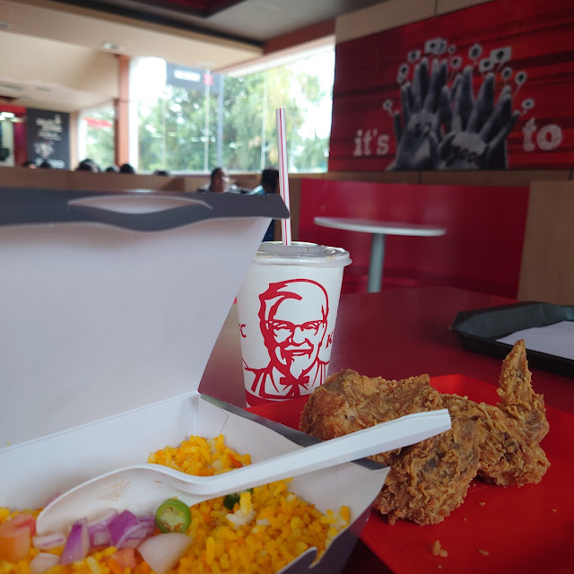 Biriyani with Chicken Fries