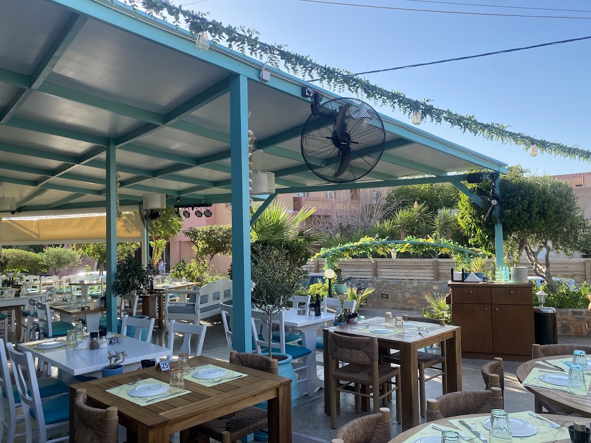 Taverna Amelia