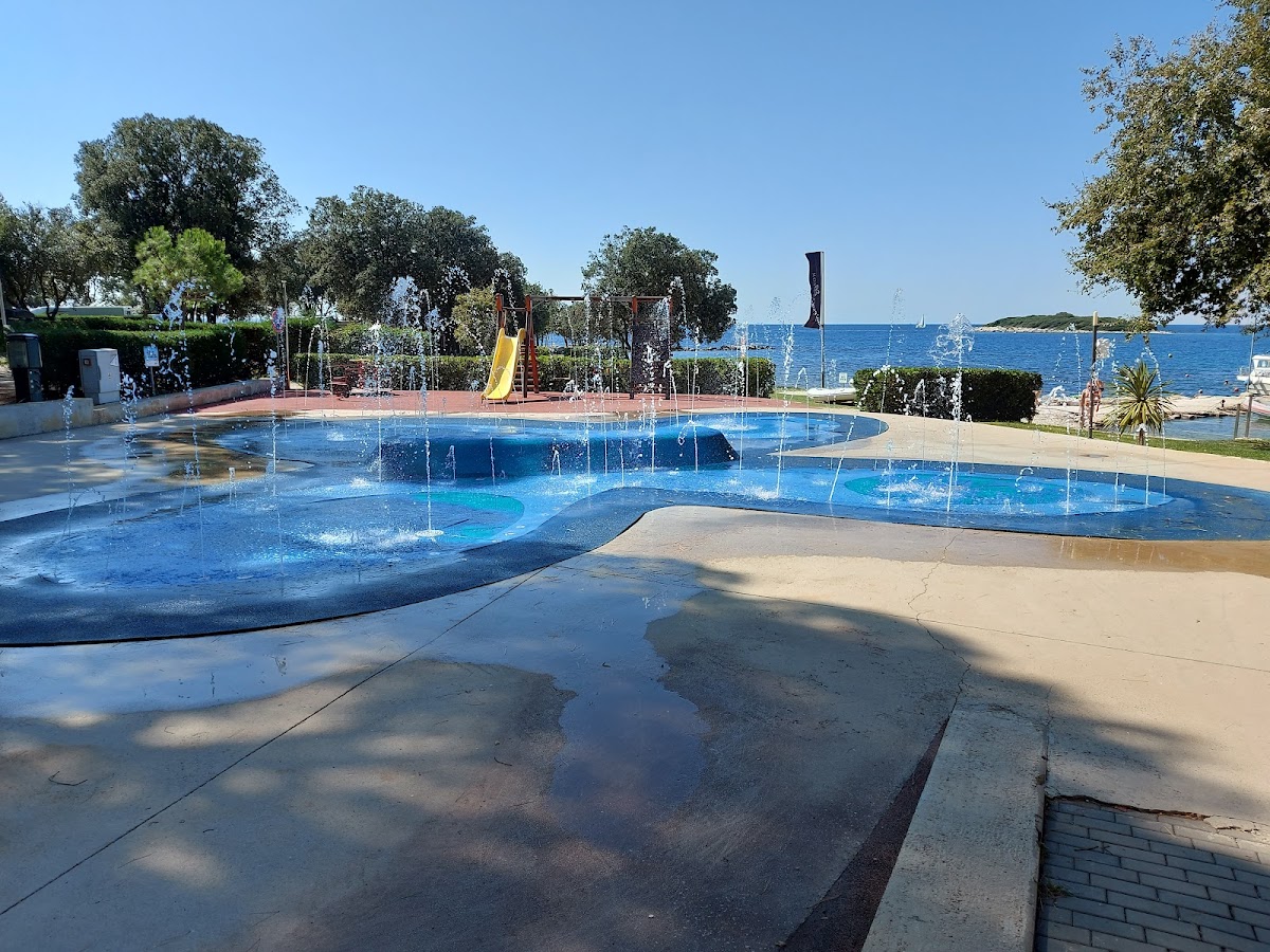 Restaurant Mol Picio 1 - Photo 4