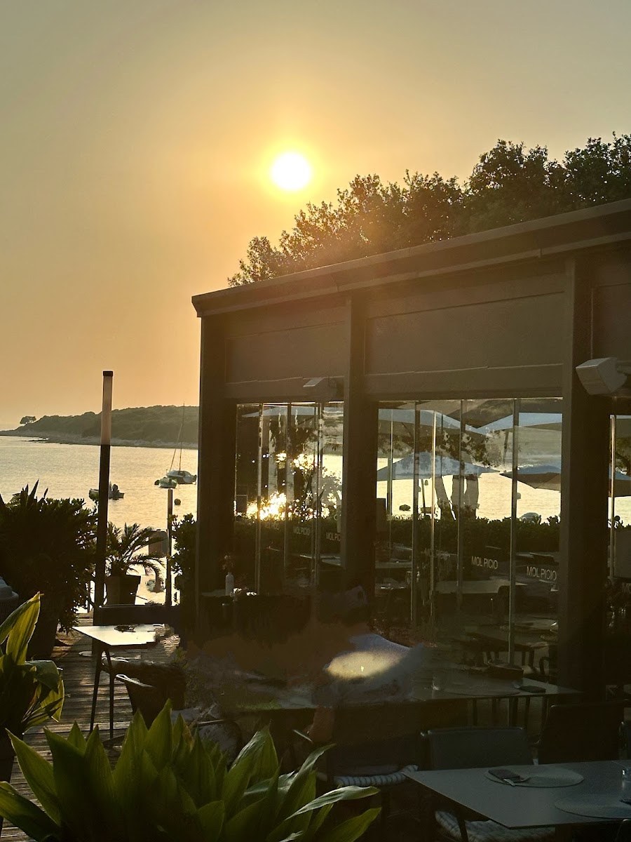 Restaurant Mol Picio 1 - Photo 7