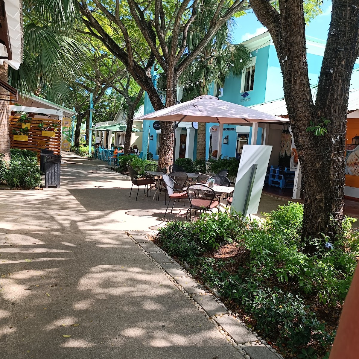 La Casita de Yeya - Photo 5