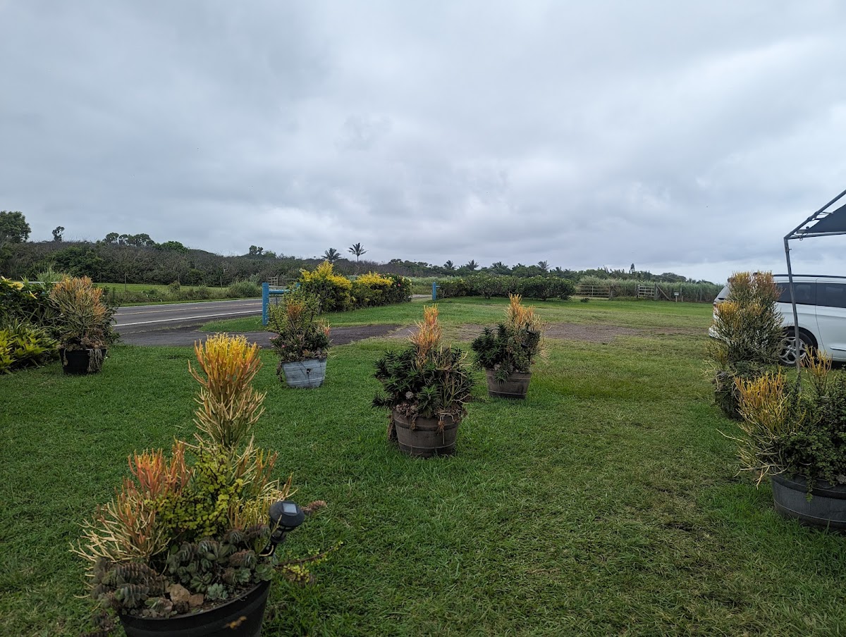 Fresh Off the Grid, Kohala. - Photo 9