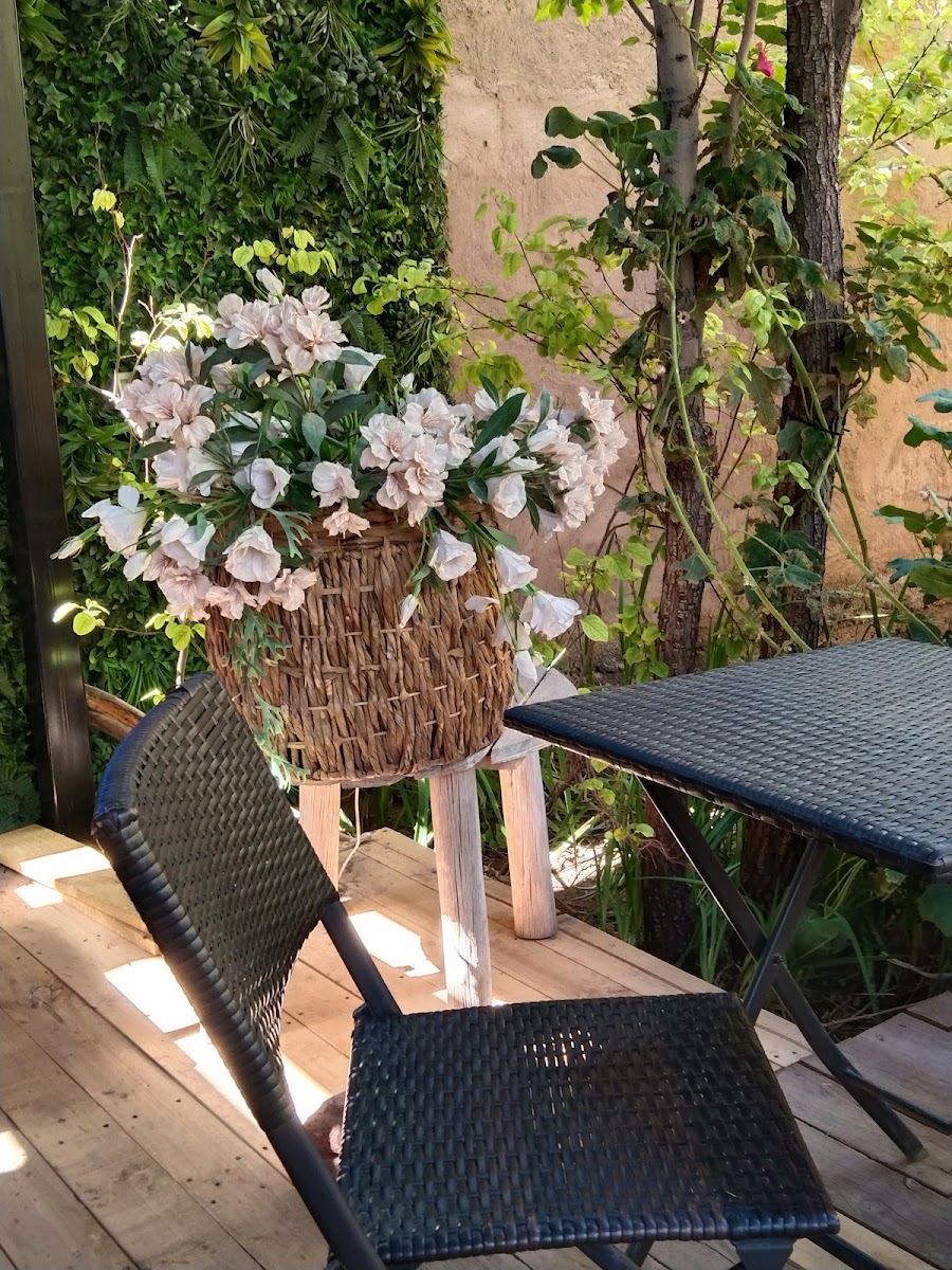 Jardin Meraki
