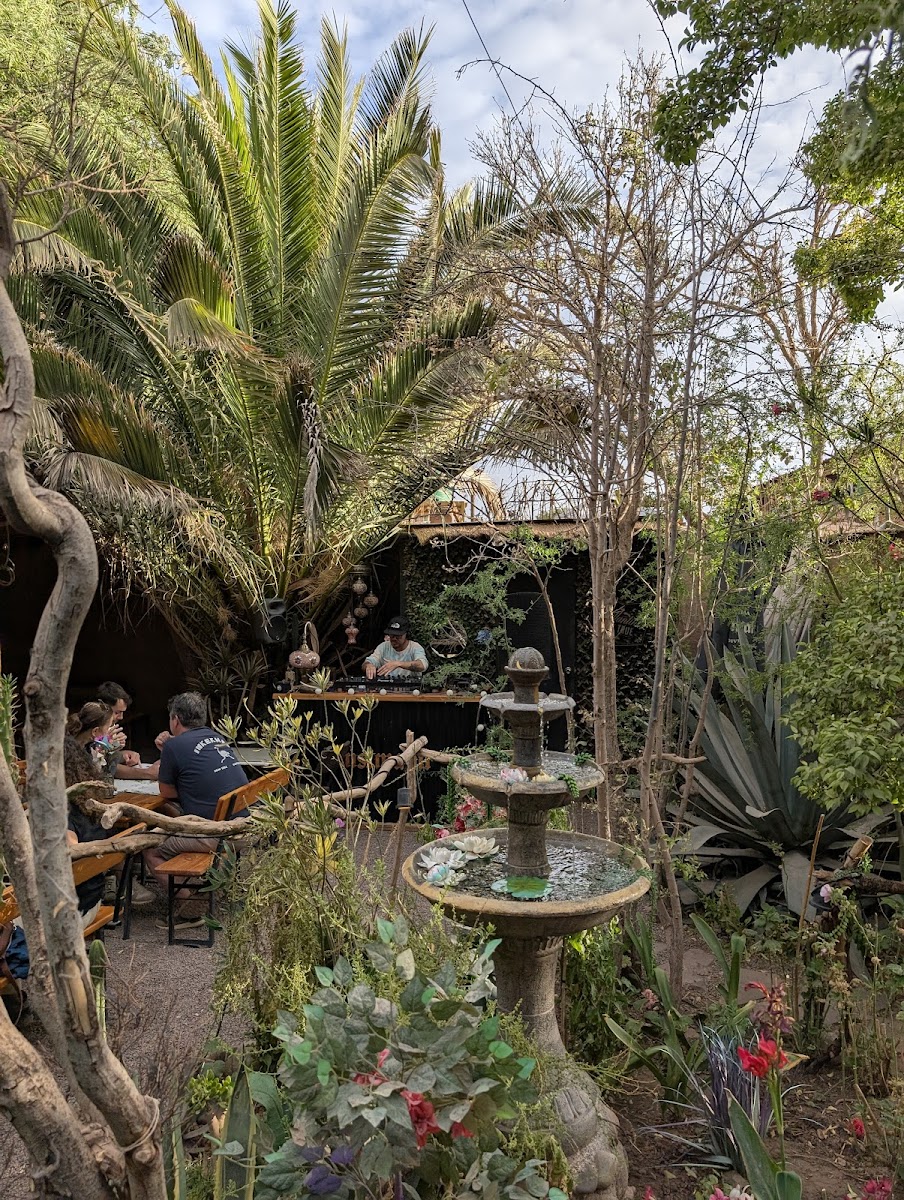 Jardin Meraki - Photo 2
