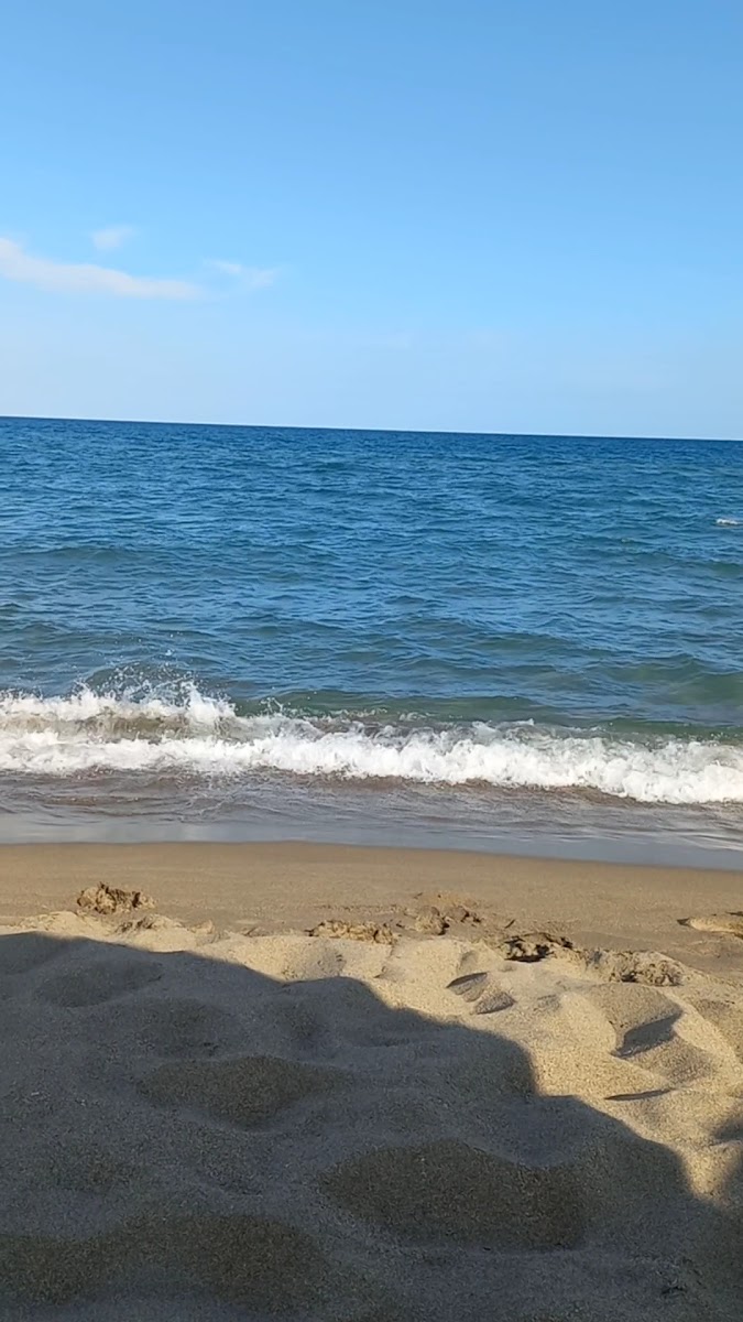 Mori's Beach - Photo 8