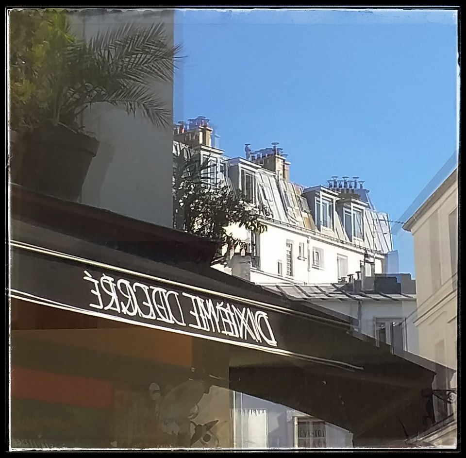 Dixième Degré - Photo 2