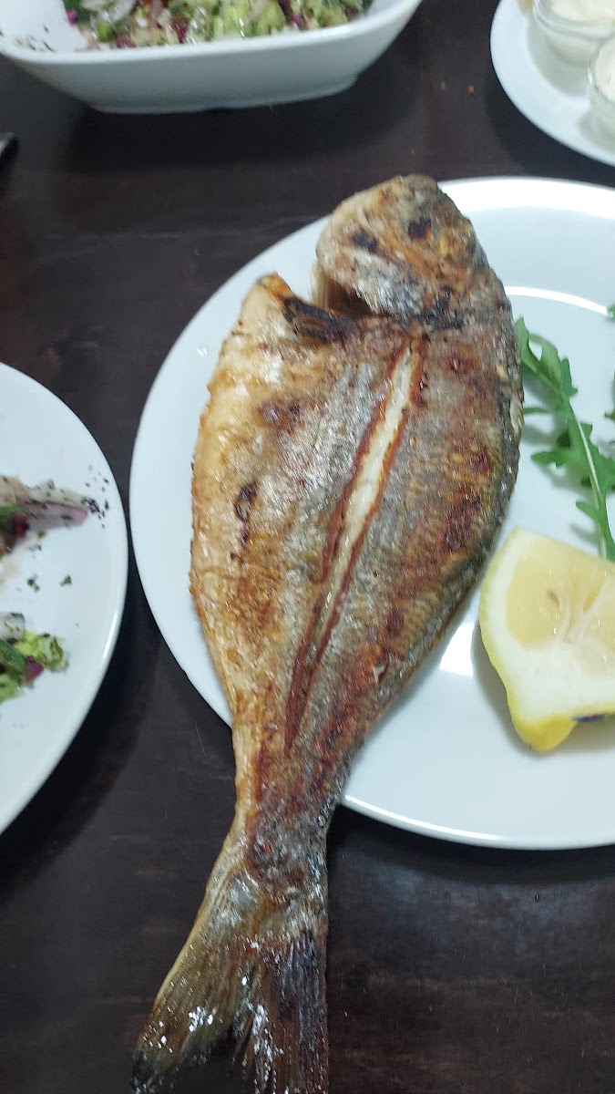 Fischmann - Photo 1