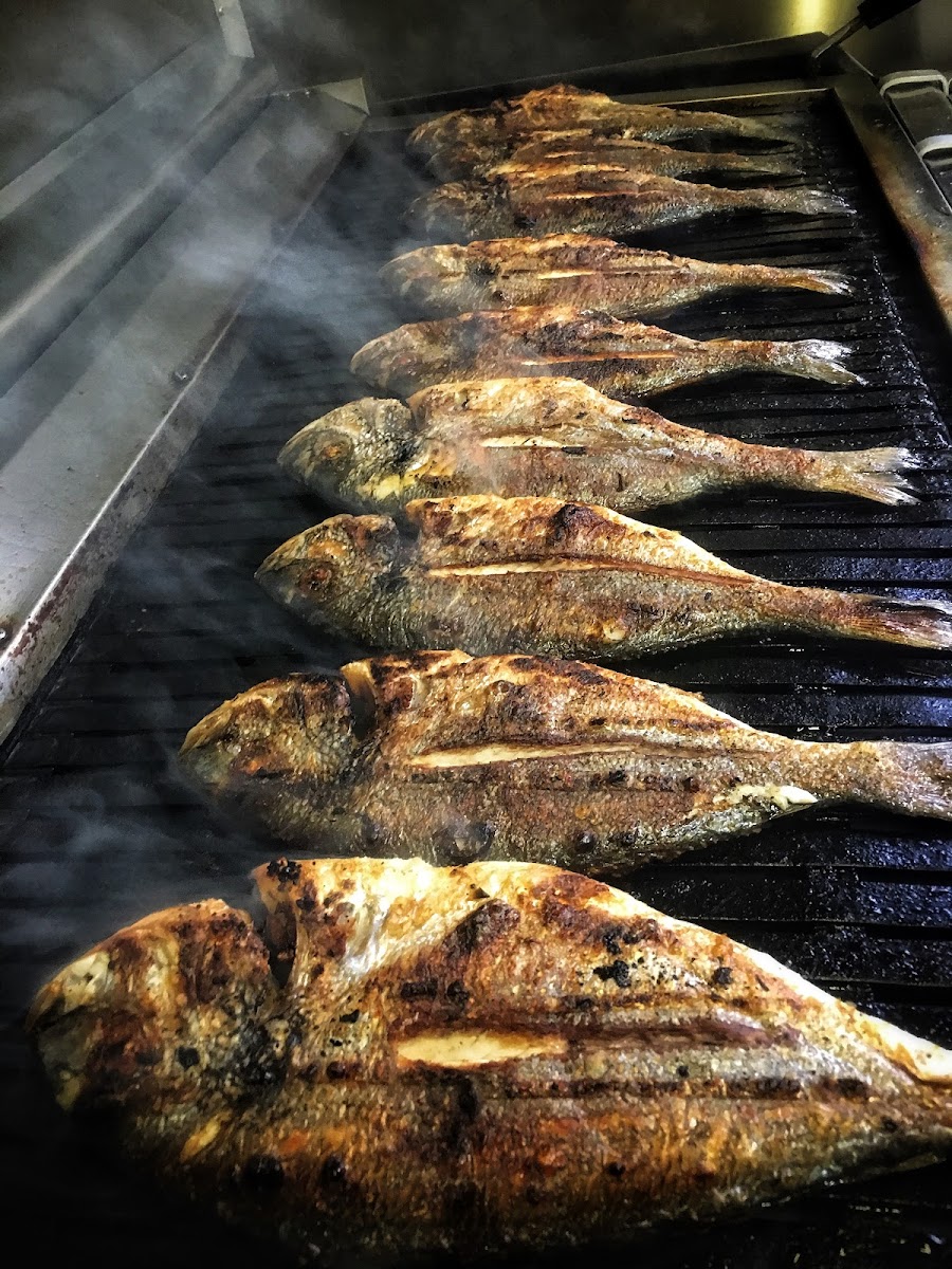 Fischmann - Photo 2