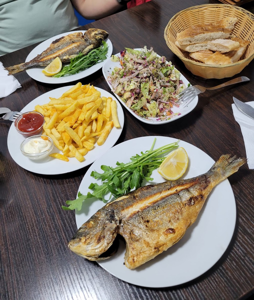 Fischmann - Photo 3
