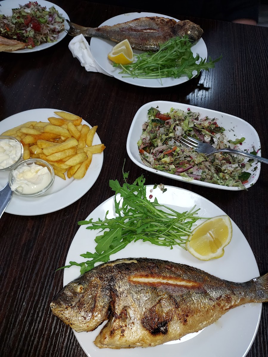 Fischmann - Photo 4