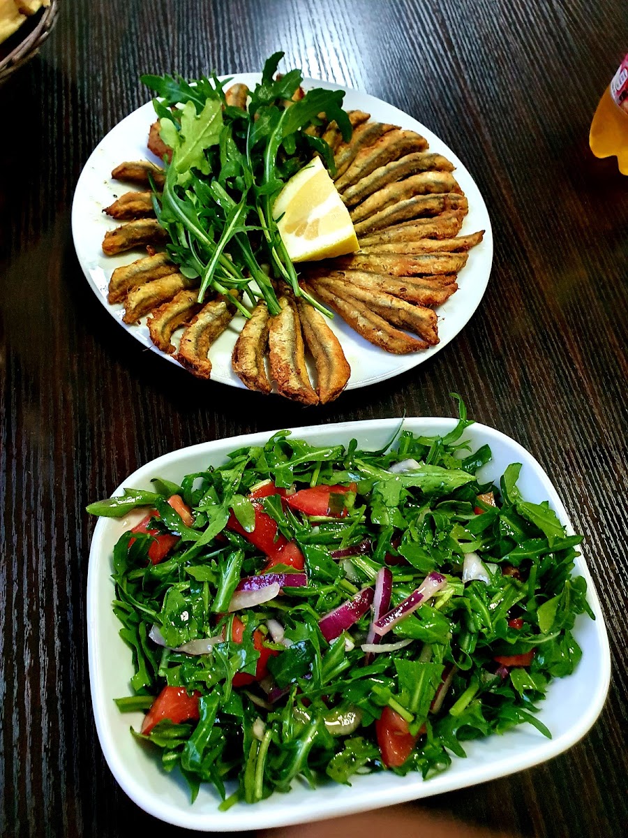 Fischmann - Photo 6
