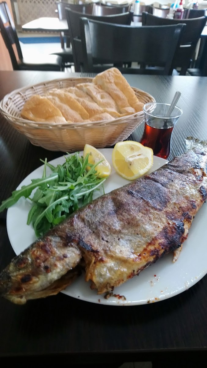 Fischmann - Photo 7