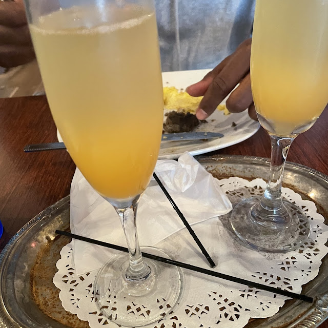 Flight of Mimosa