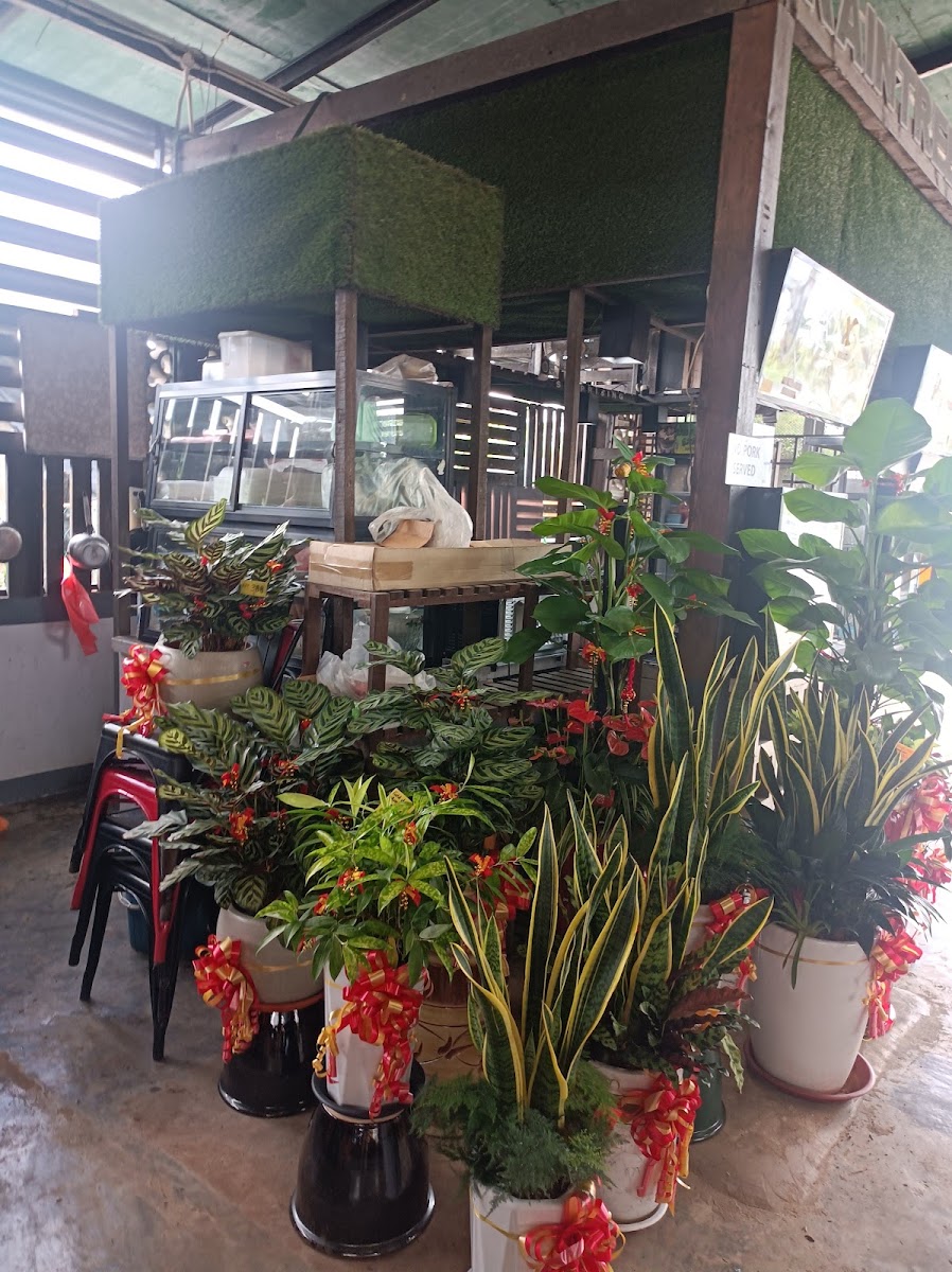 Rainforest Garden Cafe - Photo 6