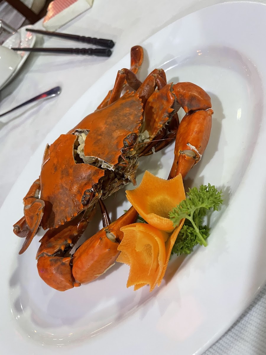 White Sails Fresh Sea Food - Photo 8