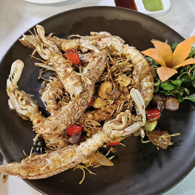 Mantis Shrimp