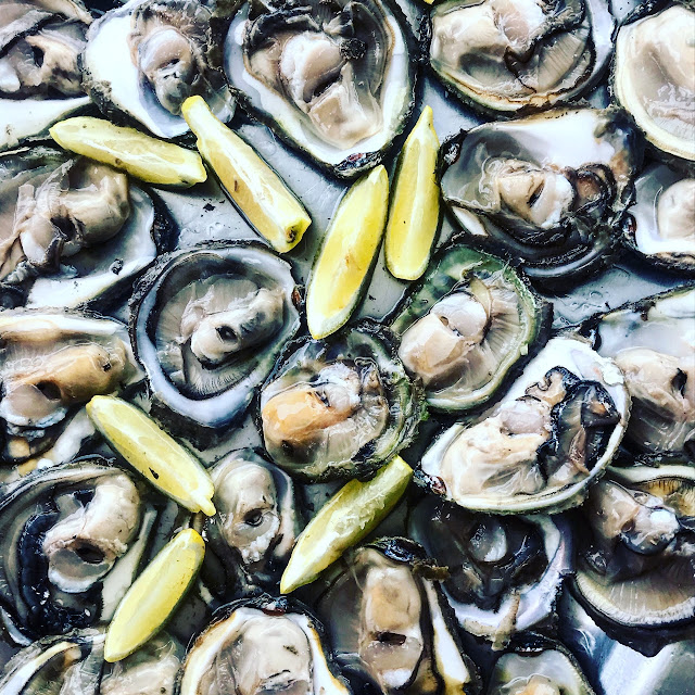 Fresh Oysters