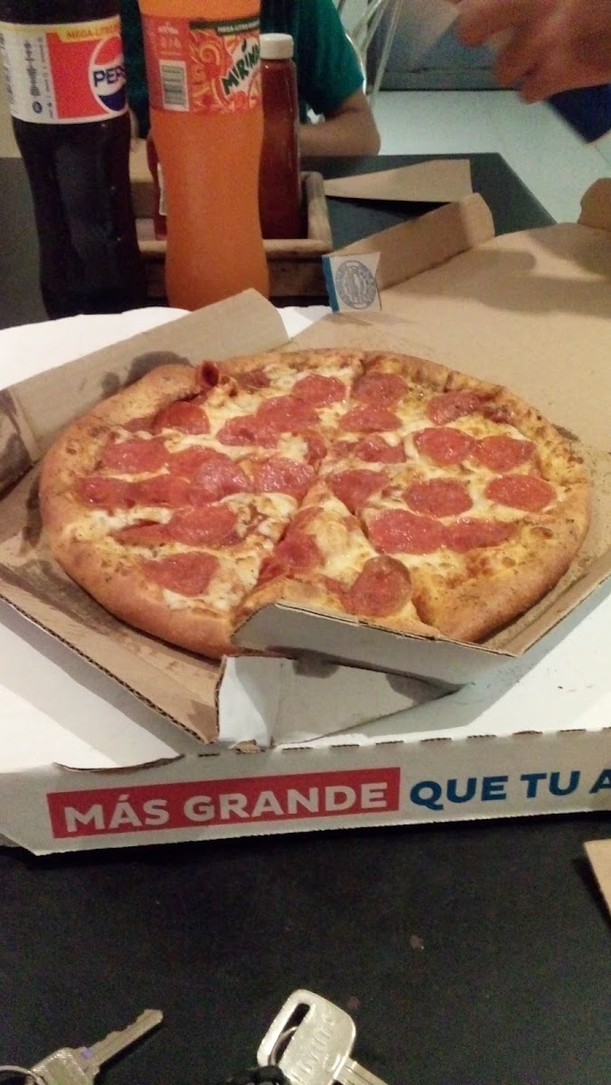 Domino's Progreso Yucatán - Photo 4